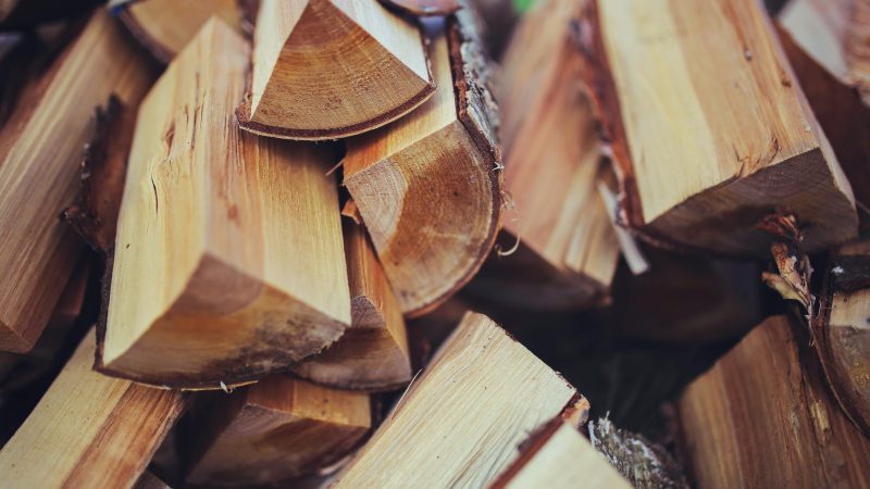 Comment choisir son bois de chauffage ?