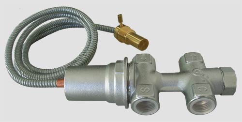 Elida WF – Poêle à bois à réservoir d'eau – 11 kW – Image 4